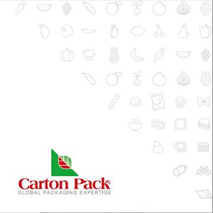 Alcune delle brochure realizzate per i clienti Carton Pack, AIL, Comune di Cassano, Confcommercio